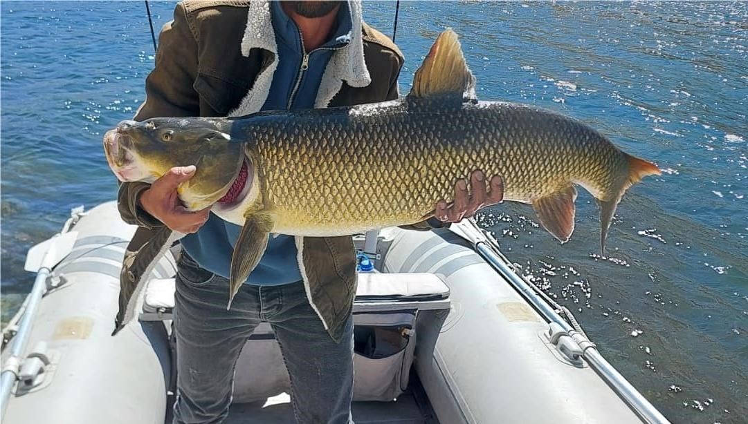 1 metre boyunda 15 kilo oltasina takildi 3mNMeO9g