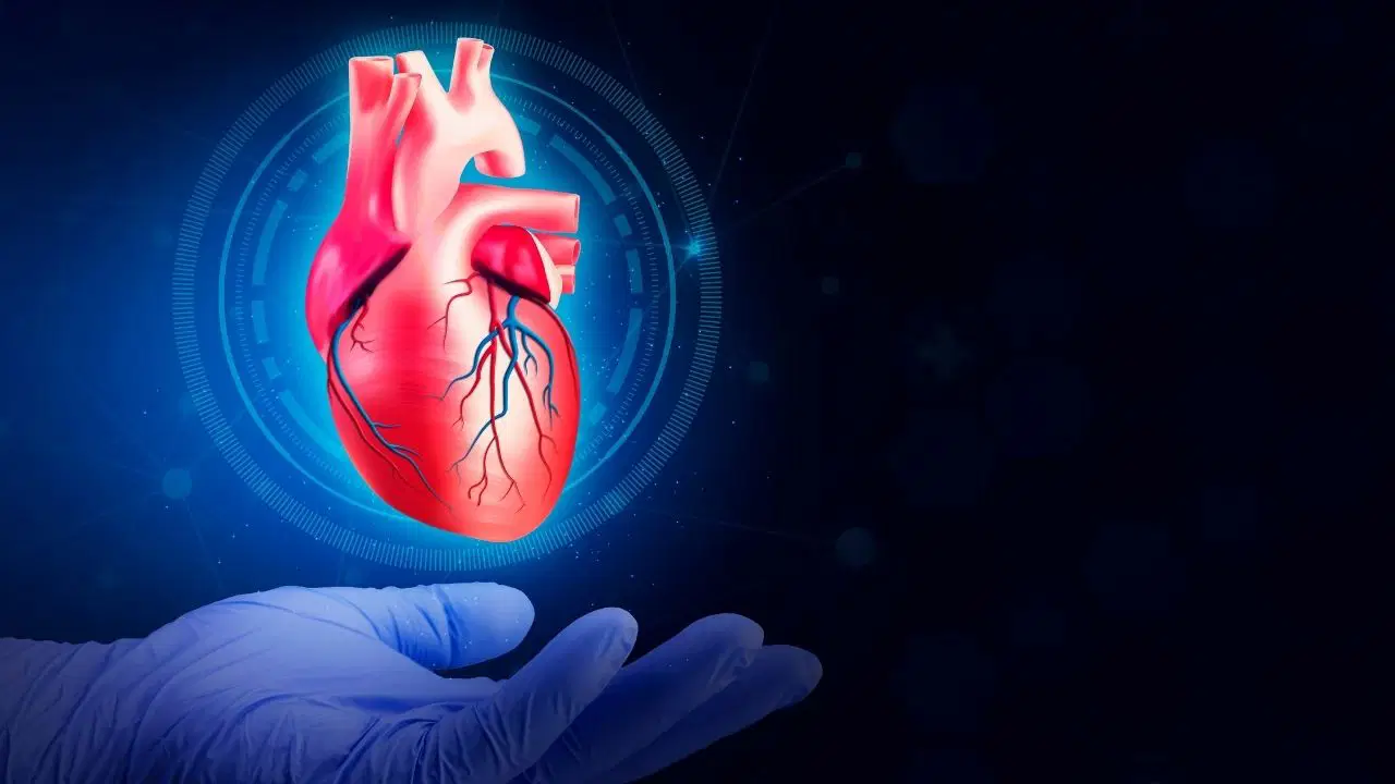 kalp sagligi icin hangi besinler tuketilmeli hangilerinden uzak durulmali Ic9hlbsn