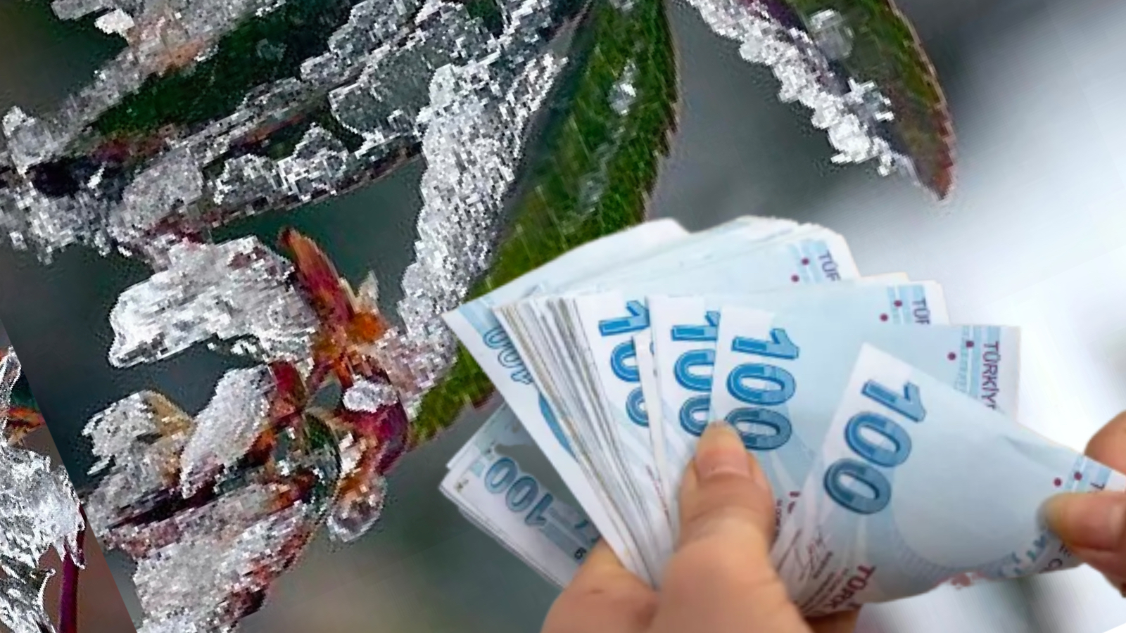 zirai don kayiplari icin odeme kosullari netlesti urunleri yuzde 20den fazla zarar goren ciftcilere destek verilecek BHUGufiL