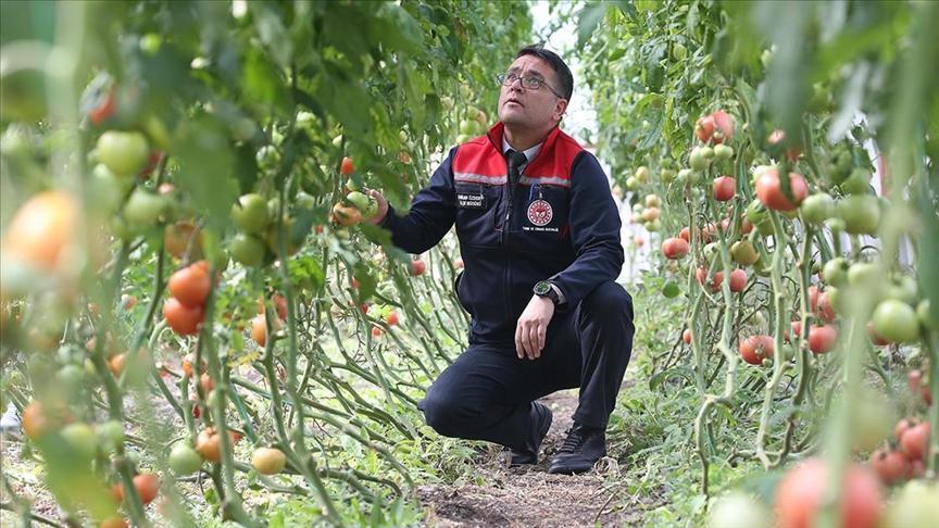 ziraat muhendislerinin olusturdugu sera vatandaslara ilham oldu ecmjisfp