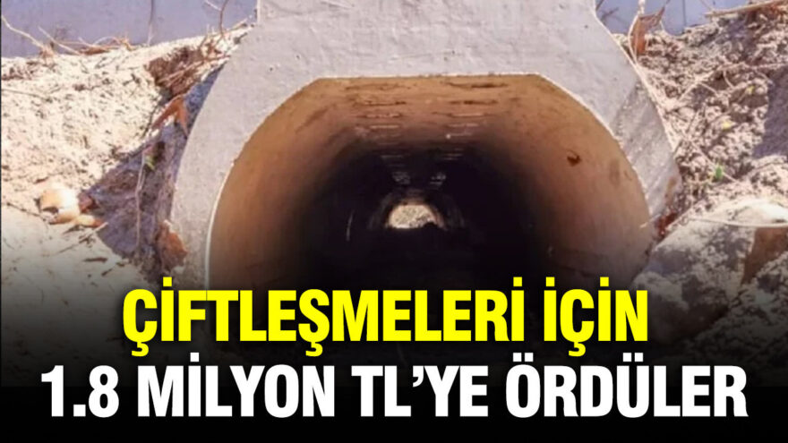 Kurbağaların Güvenli Göçü İçin 1.8 Milyon TL’lik Alt Geçit Projesi