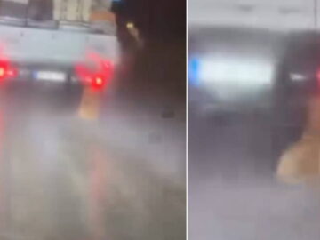 Araca Bağlı Köpeği Sürükleyen Sürücü Gözaltına Alındı